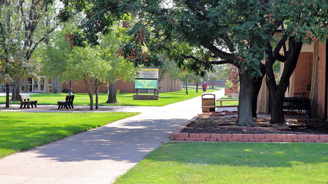 shot of tress outside of library
