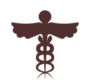 Medical Benefits Icon